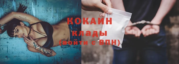 кокс Алексин