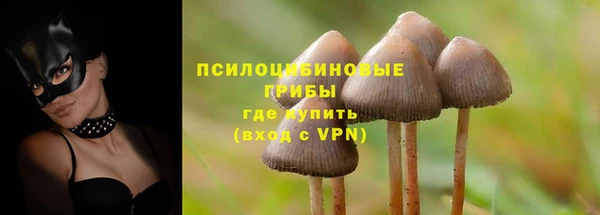 кокс Алексин