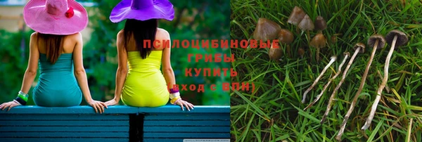 гашик Алзамай