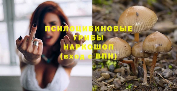 гашик Алзамай