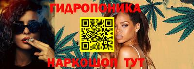 гашик Жуковский