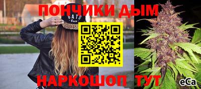 гашик Жуковский