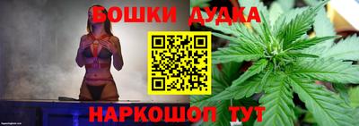 PSILOCYBIN Заволжье