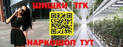 гашик Жуковский