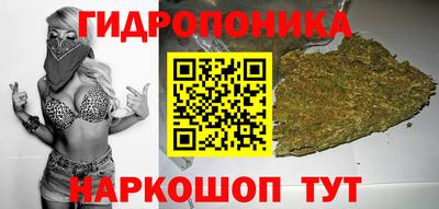 гашик Жуковский