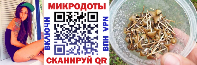 OMG ONION Лабытнанги Галлюциногенные грибы мухоморы