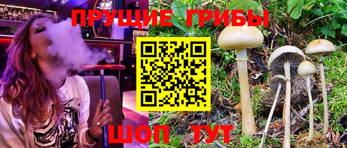 Галлюциногенные грибы GOLDEN TEACHER  Псилоцибиновые грибы прущие грибы  Вход с VPN  Лабытнанги 